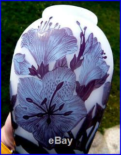 Très beau vase Delatte ibiscus, parfait, era daum galle 1900, NO COPY